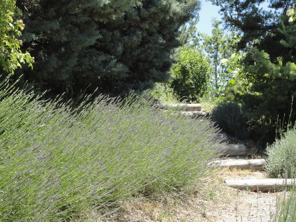 הוילה Sigoyer  Un Gite De Charme En Haute Provence חדר תמונה